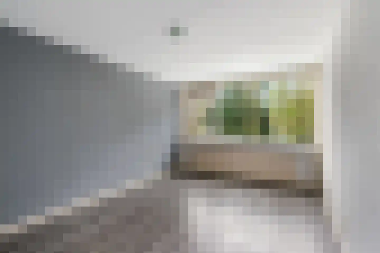 Gelebrem 43 Rotterdam thumbnail 18