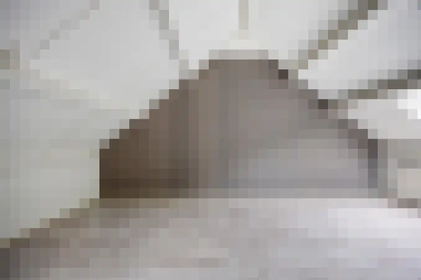 Gelebrem 45 Rotterdam thumbnail 26