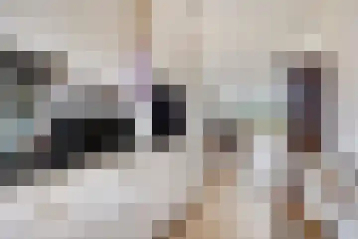 Geleen 23 Zwolle thumbnail 12