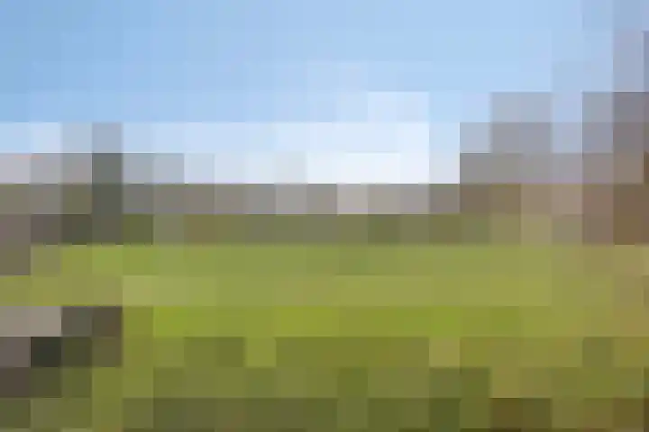 Geleen 23 Zwolle thumbnail 22