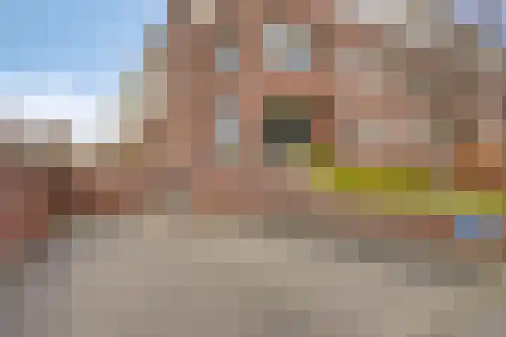 Geleen 23 Zwolle thumbnail 25