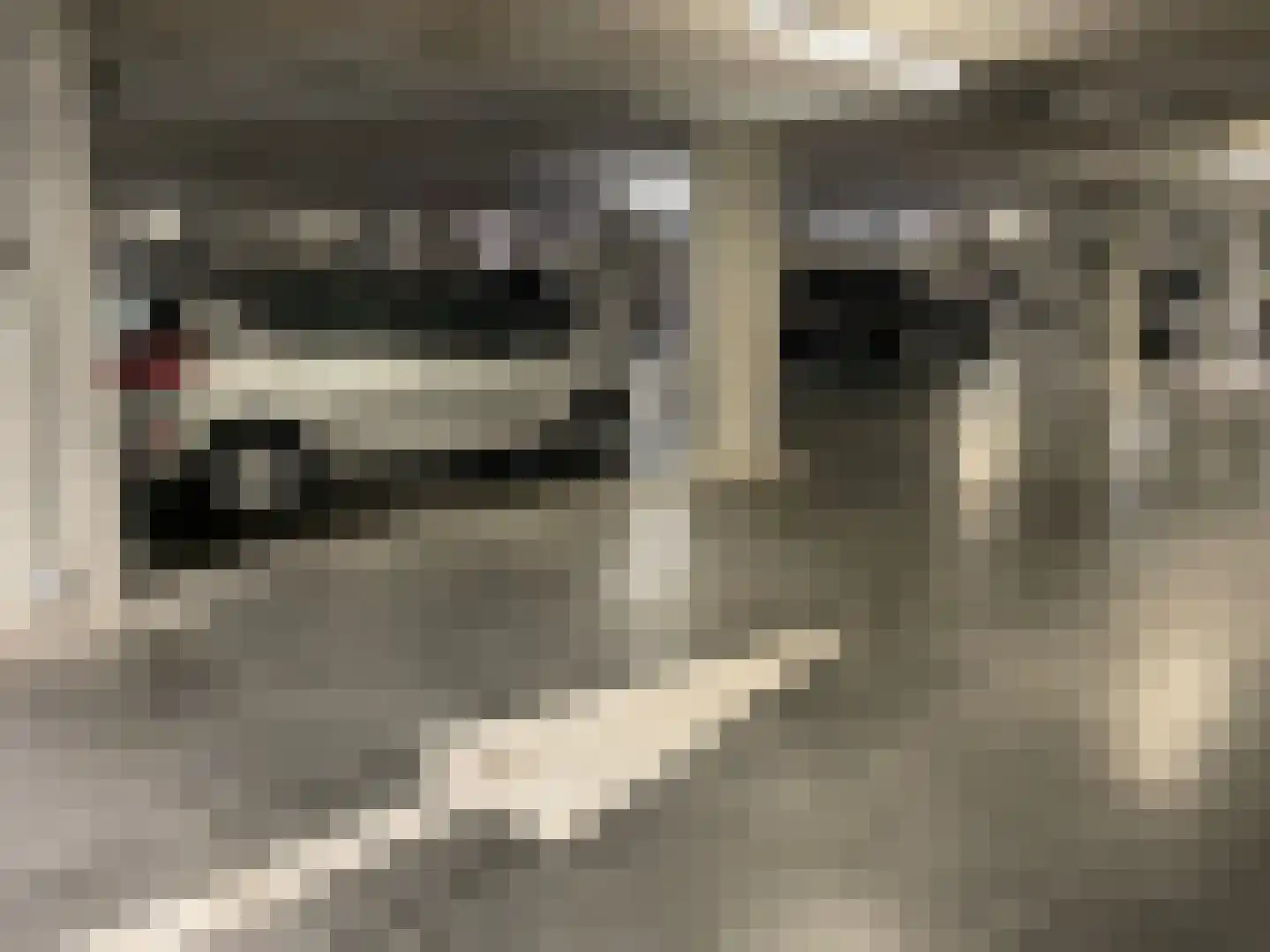 Geleen 49 Zwolle thumbnail 16