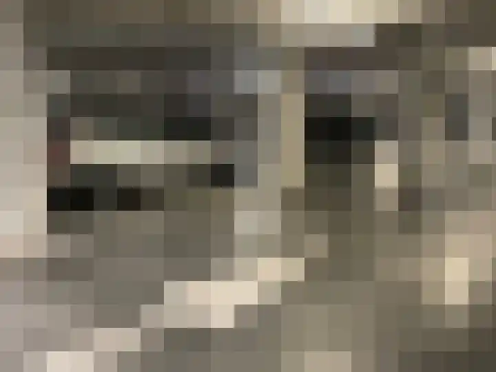 Geleen 49 Zwolle thumbnail 16