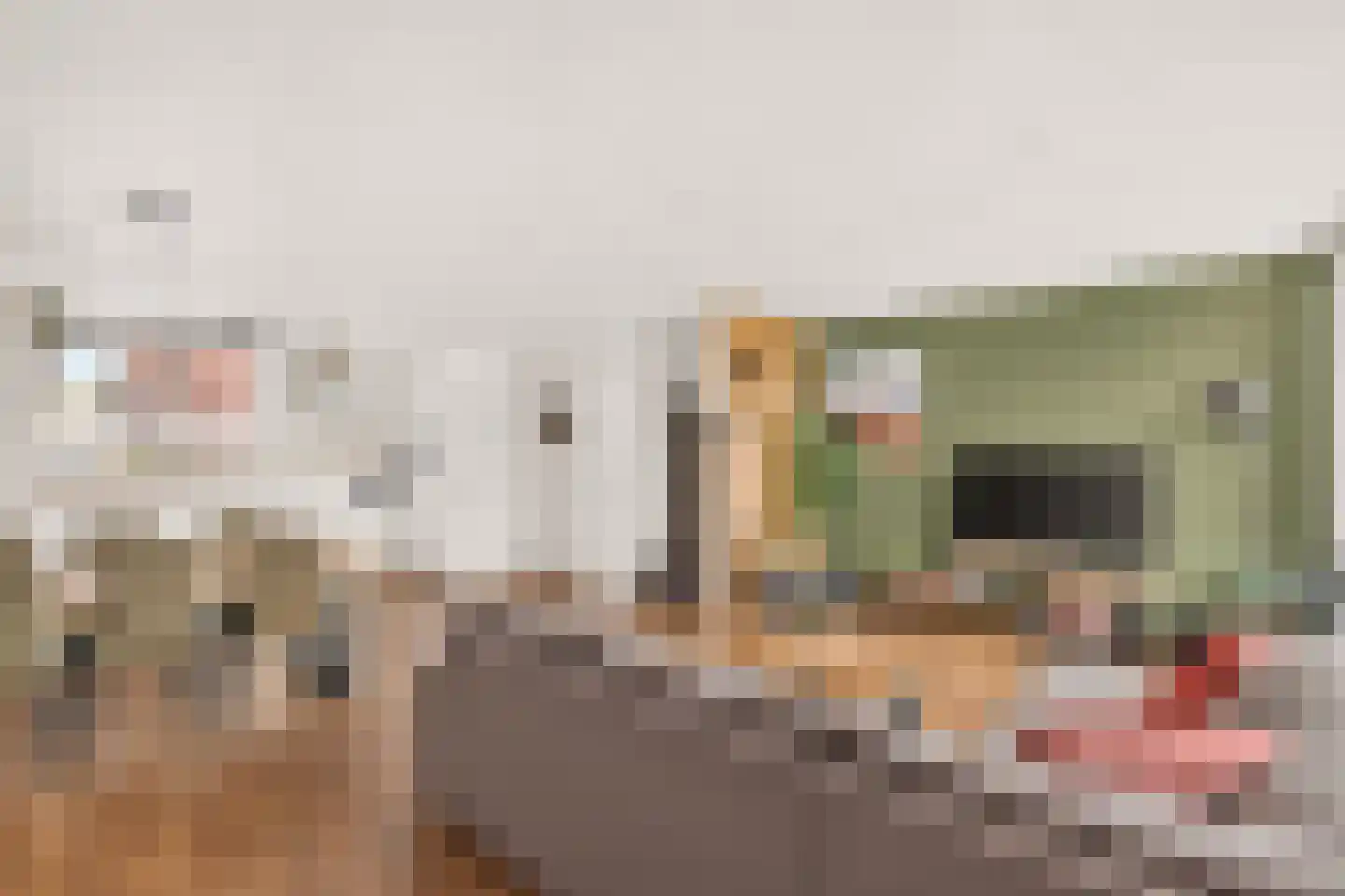Geleenhof 18 Eindhoven thumbnail 13