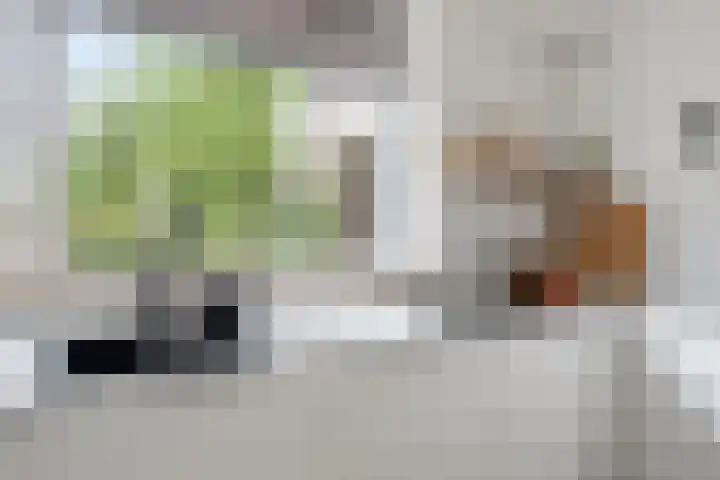 Geleenhof 48 Eindhoven thumbnail 20