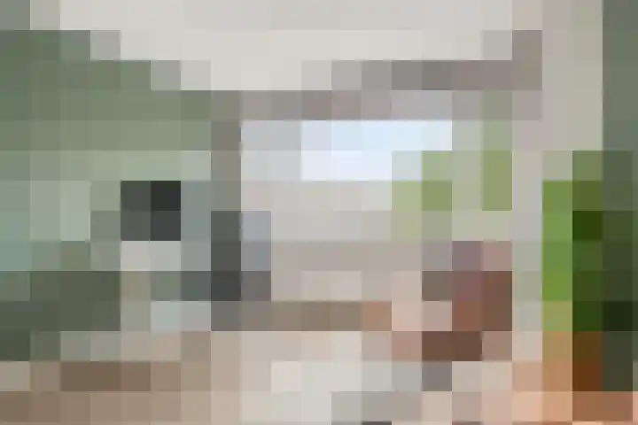 Geleenhof 48 Eindhoven thumbnail 30