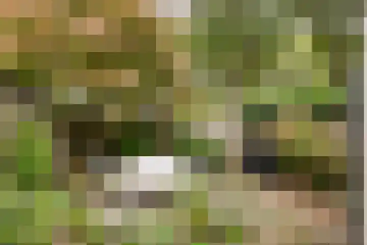 Geleenhof 48 Eindhoven thumbnail 34
