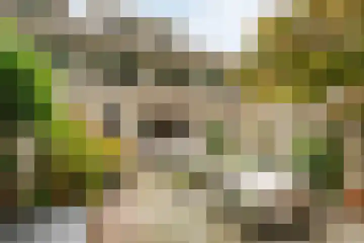 Geleenhof 48 Eindhoven thumbnail 36