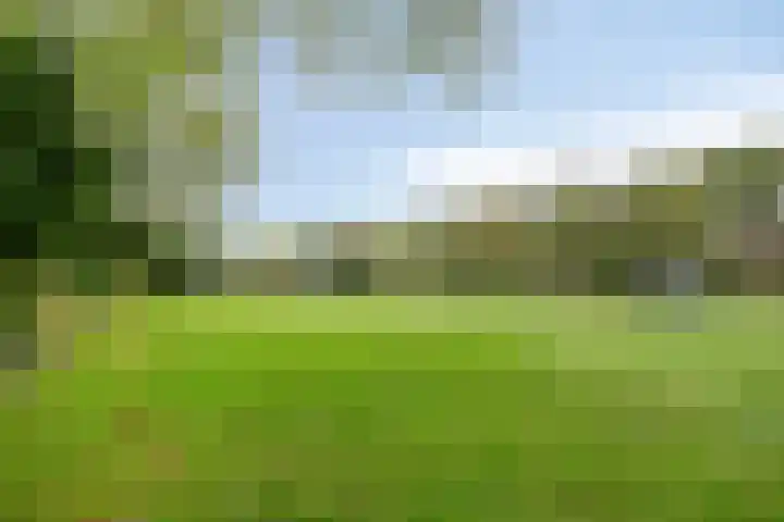 Geleenhof 48 Eindhoven thumbnail 37