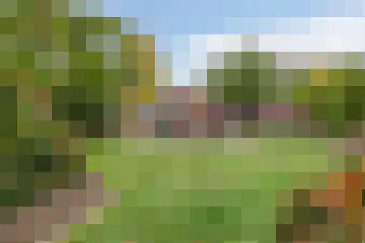 Geleenhof 48 Eindhoven thumbnail 40