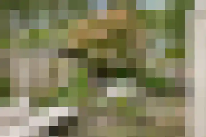 Geleenhof 48 Eindhoven thumbnail 7