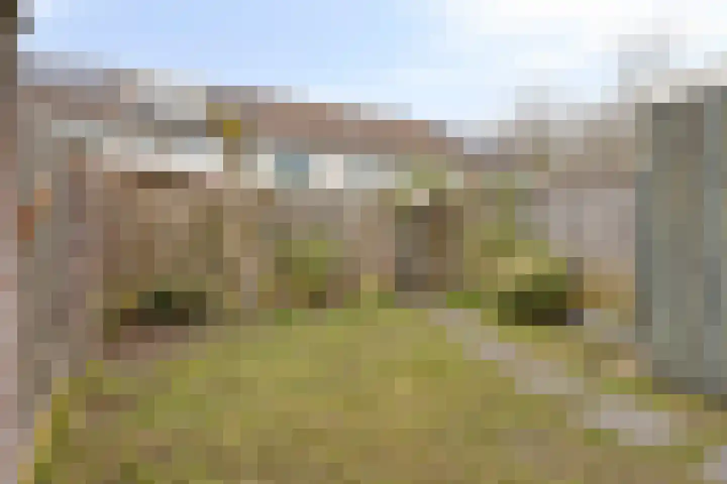 Geleenhof 9 Eindhoven thumbnail 33