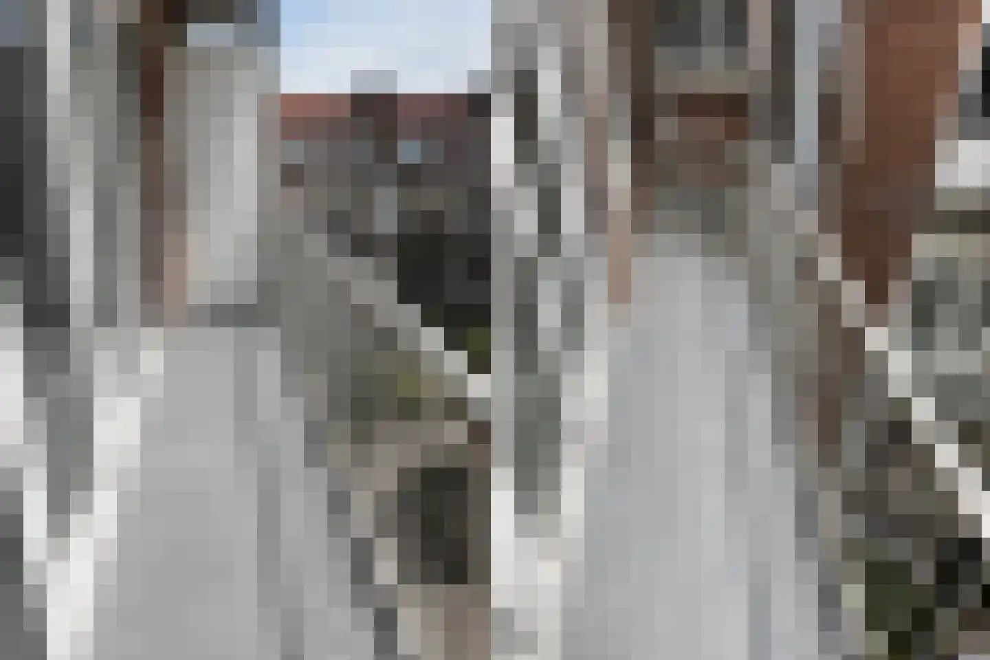 Geleenstraat 1 3 Amsterdam thumbnail 18