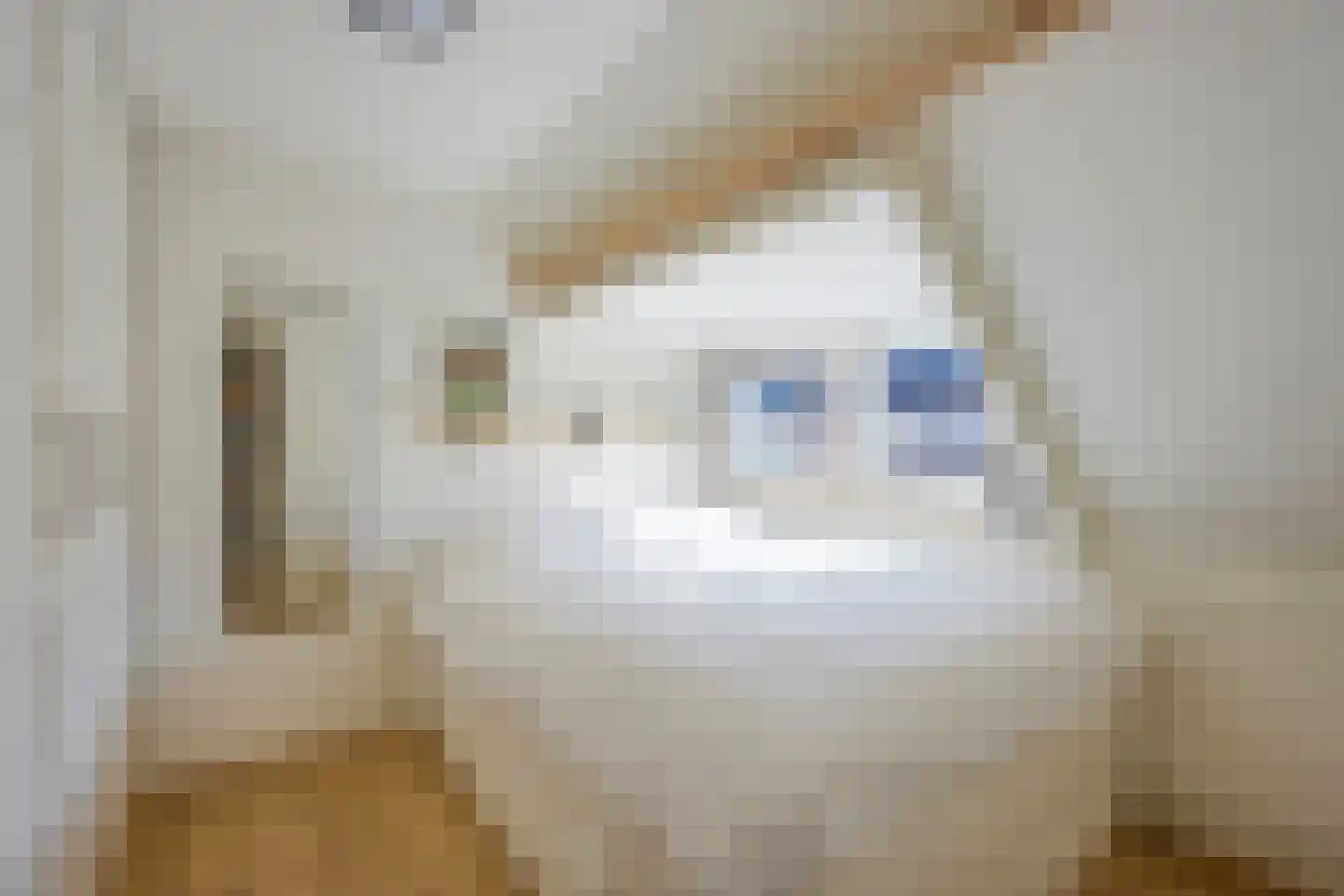 Geleenstraat 13 Utrecht thumbnail 34