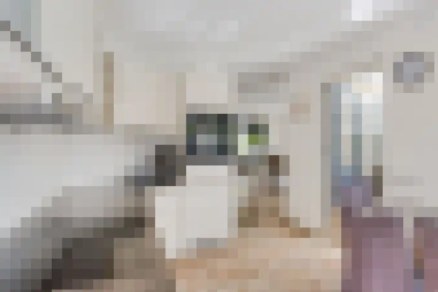 Geleenstraat 16 Hengelo thumbnail 13