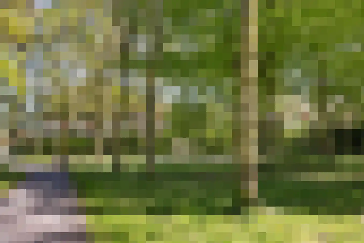 Geleenstraat 16 Hengelo thumbnail 45