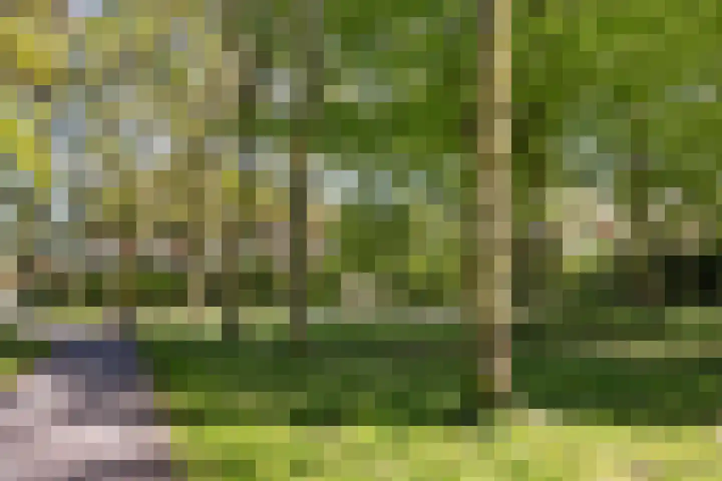 Geleenstraat 16 Hengelo thumbnail 47