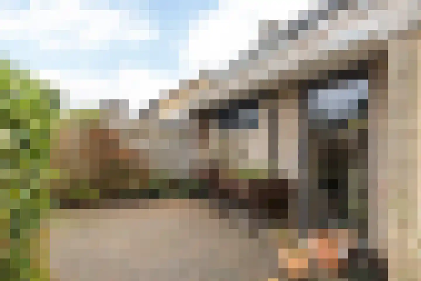 Geleenstraat 23 Munstergeleen thumbnail 34