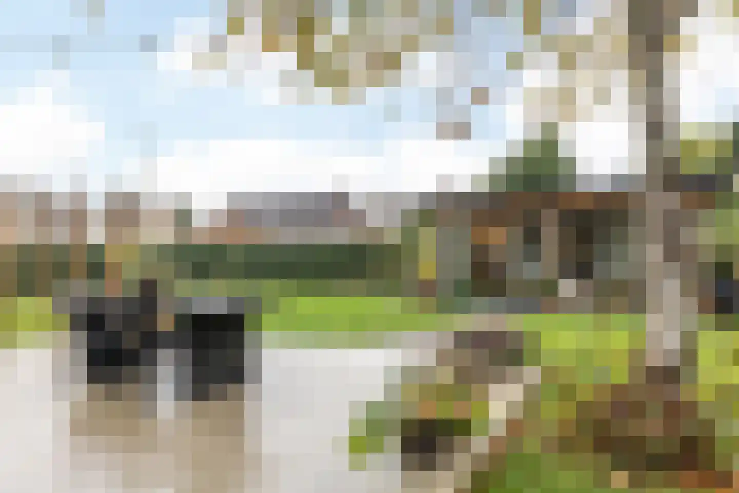 Geleenstraat 23 Munstergeleen thumbnail 42