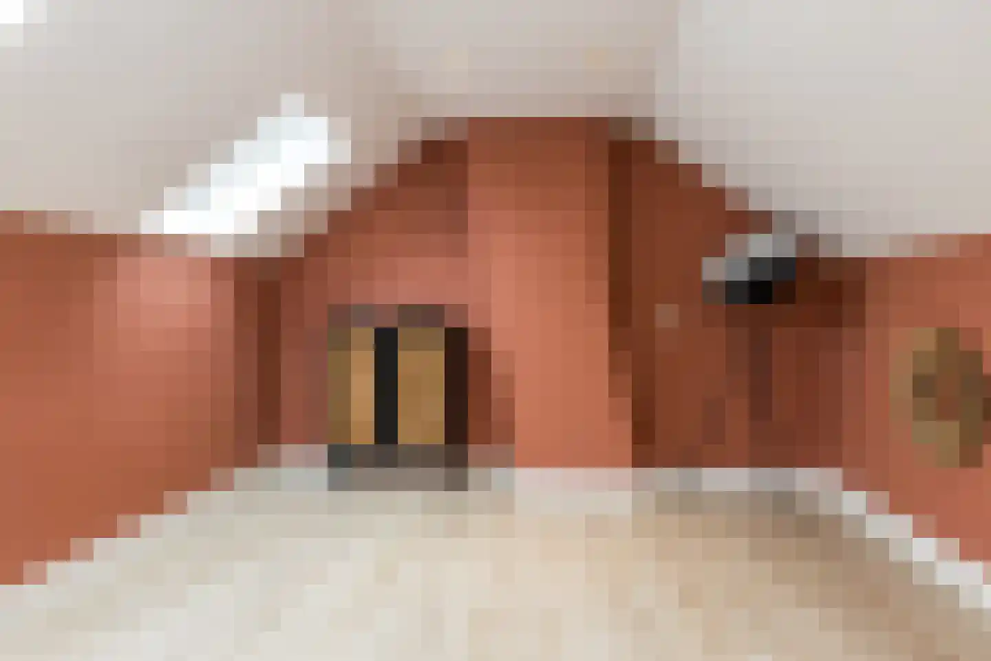 Geleenstraat 23 Munstergeleen thumbnail 62