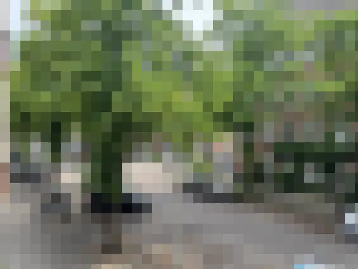 Geleenstraat 24 2 Amsterdam thumbnail 4