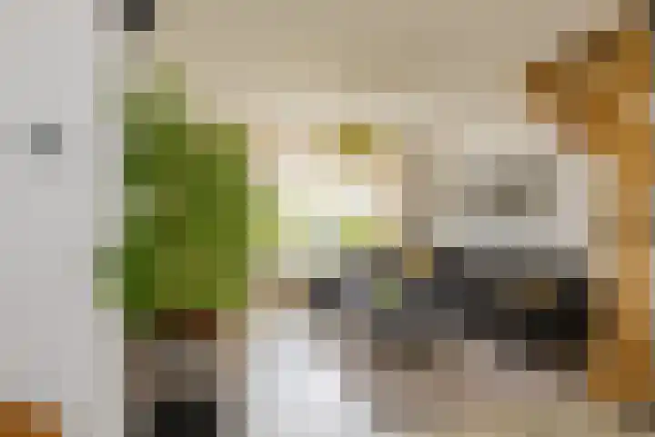 Geleenstraat 27 IJmuiden thumbnail 8