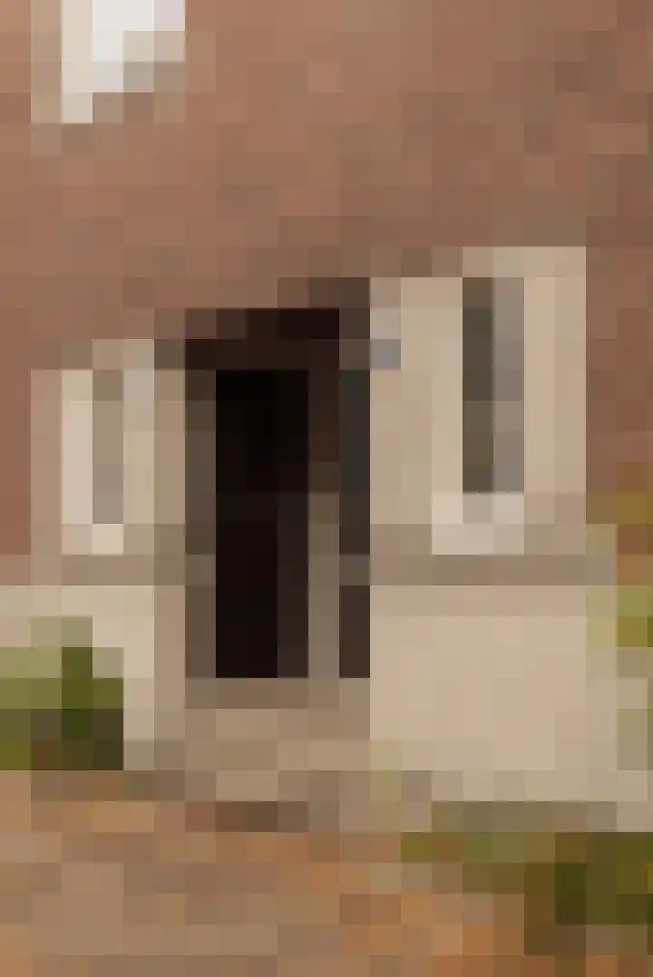 Geleenstraat 40 1 Amsterdam thumbnail 33