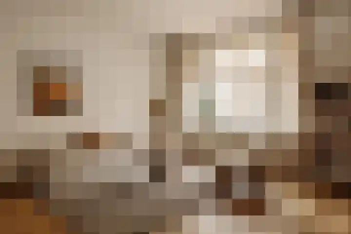 Geleenstraat 40 1 Amsterdam thumbnail 7