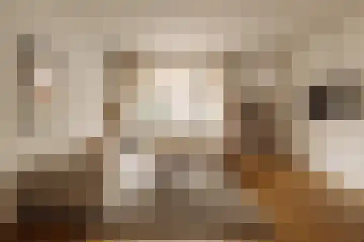 Geleenstraat 40 1 Amsterdam thumbnail 9