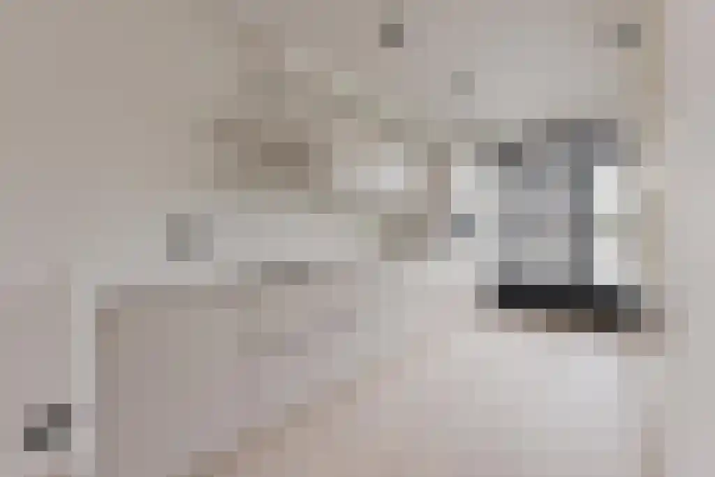 Geleenstraat 50 1 Amsterdam thumbnail 5