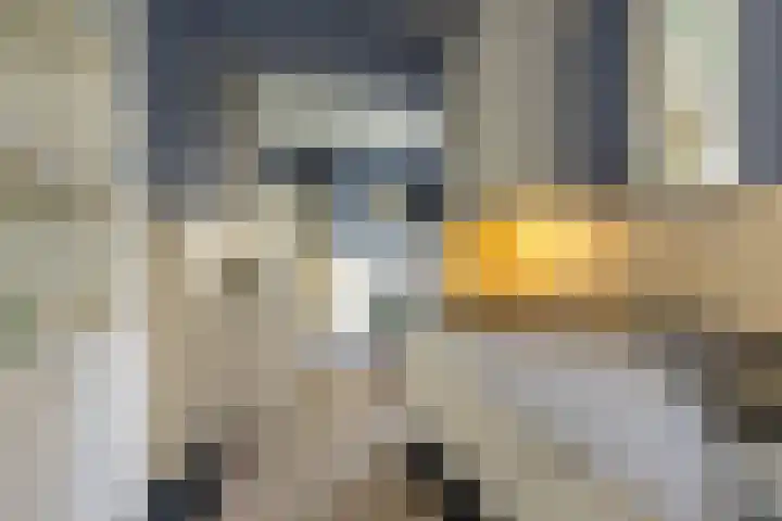 Geleenstraat 7 Munstergeleen thumbnail 11