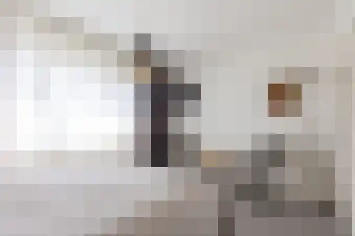 Geleenstraat 7 Munstergeleen thumbnail 37