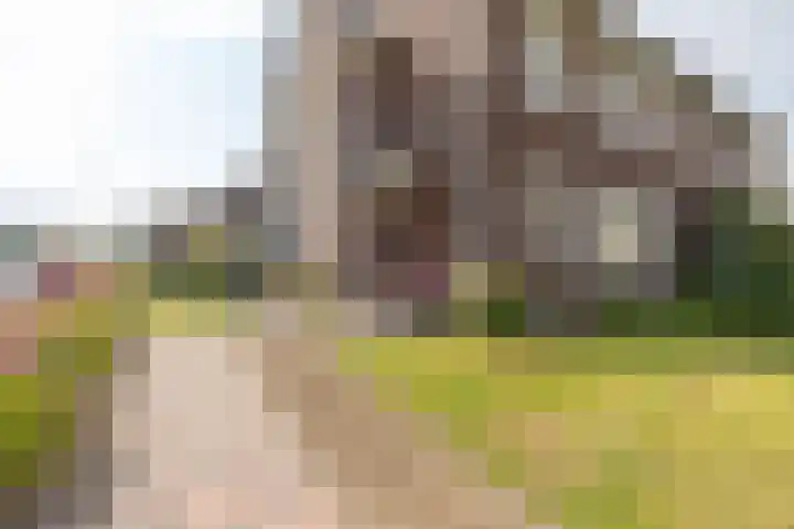 Geleenstraat 7 Munstergeleen thumbnail 6