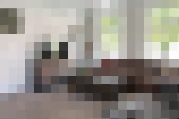 Geleijn Cornelissestraat 1 Middelharnis thumbnail 11