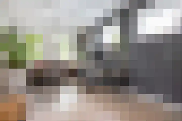 Geleijn Cornelissestraat 1 Middelharnis thumbnail 12