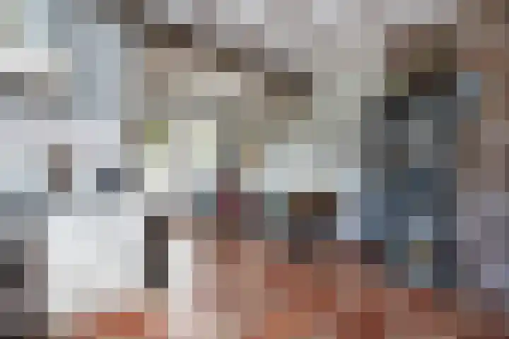 Geleijn Cornelissestraat 1 Middelharnis thumbnail 15