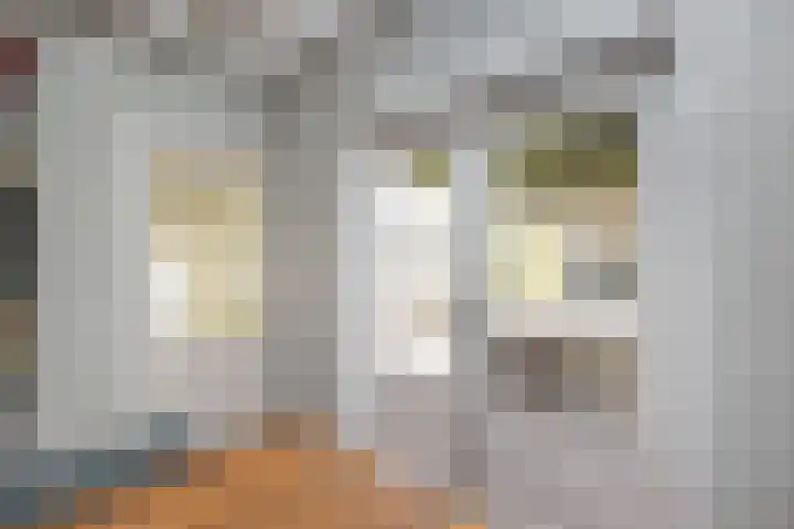 Geleijn Cornelissestraat 1 Middelharnis thumbnail 18