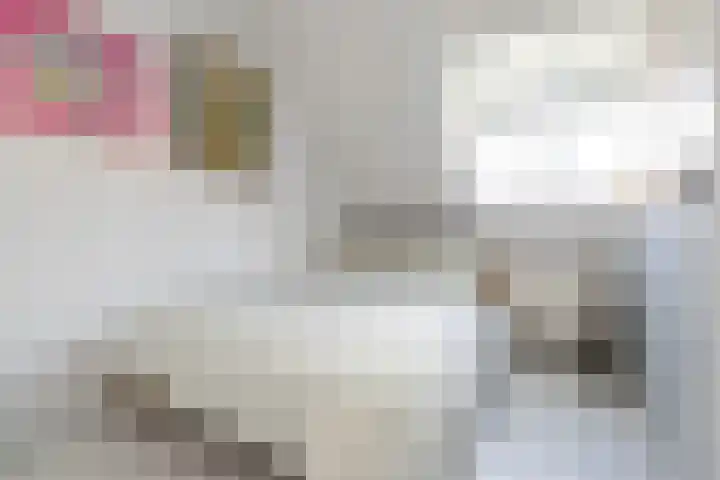 Geleijn Cornelissestraat 1 Middelharnis thumbnail 28