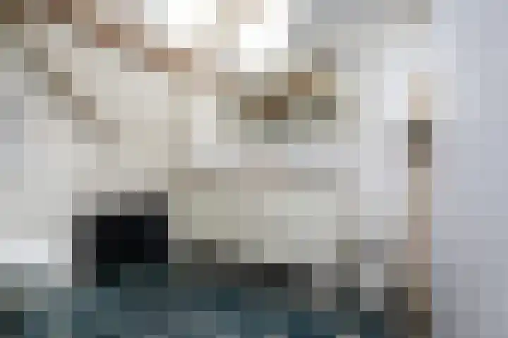 Geleijn Cornelissestraat 1 Middelharnis thumbnail 29