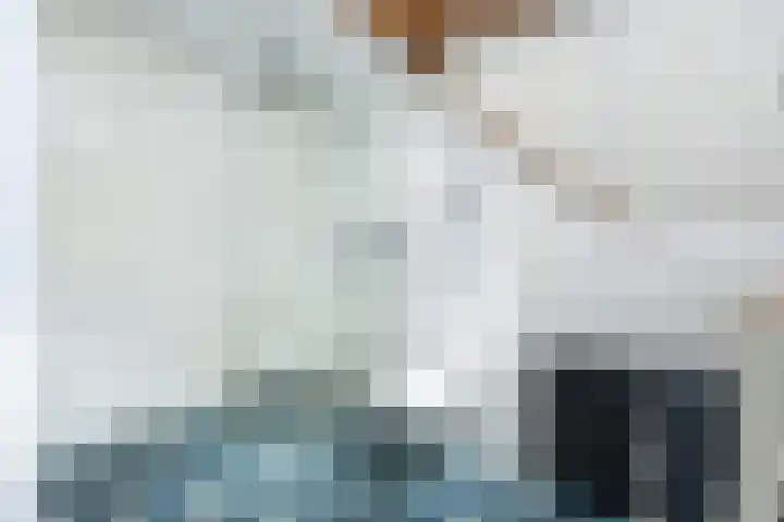Geleijn Cornelissestraat 1 Middelharnis thumbnail 30