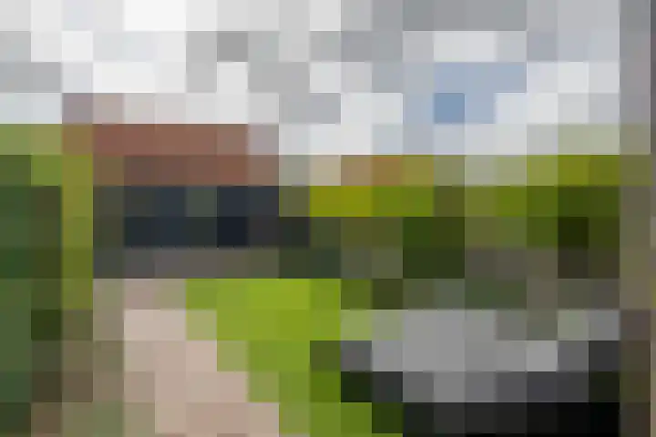 Geleijn Cornelissestraat 1 Middelharnis thumbnail 32