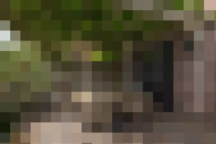 Geleijn Cornelissestraat 1 Middelharnis thumbnail 33