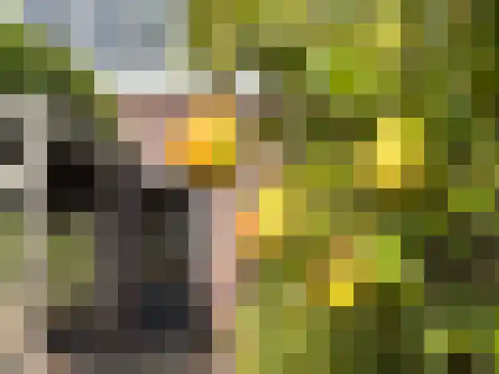 Geleijn Cornelissestraat 1 Middelharnis thumbnail 34