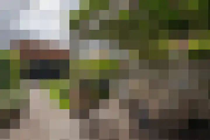 Geleijn Cornelissestraat 1 Middelharnis thumbnail 4