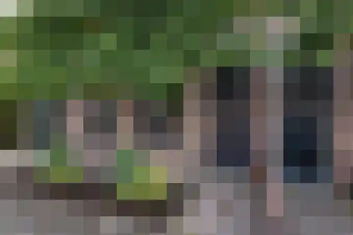 Geleijn Cornelissestraat 1 Middelharnis thumbnail 5