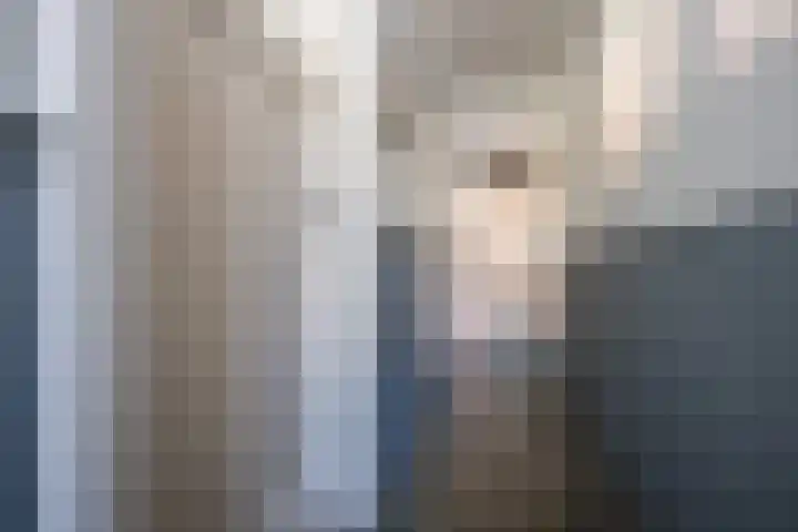 Geleijn Cornelissestraat 1 Middelharnis thumbnail 6