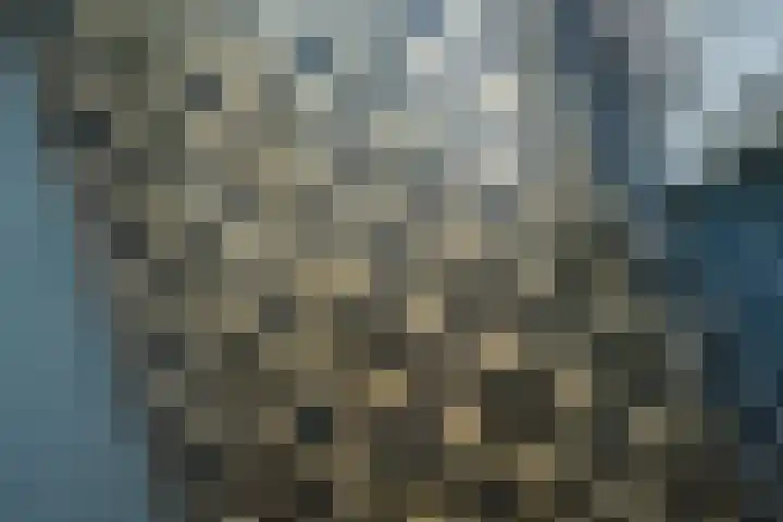 Geleijn Cornelissestraat 1 Middelharnis thumbnail 7