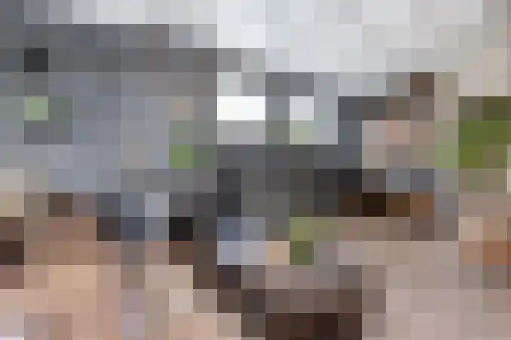 Geleijn Cornelissestraat 1 Middelharnis thumbnail 8