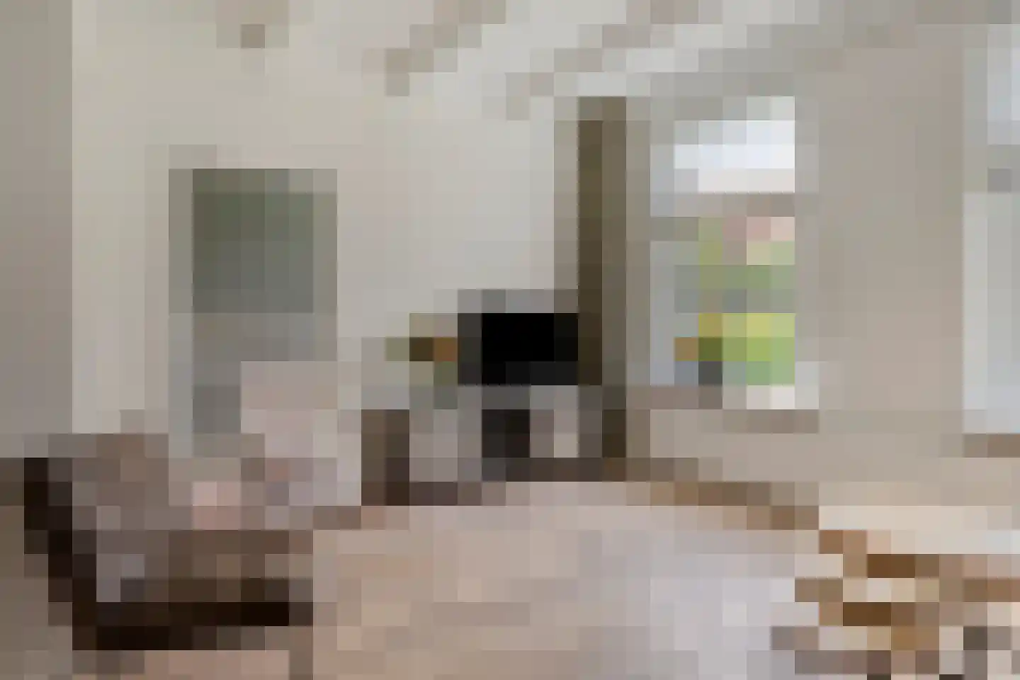 Geleijn Cornelissestraat 8 Middelharnis thumbnail 12