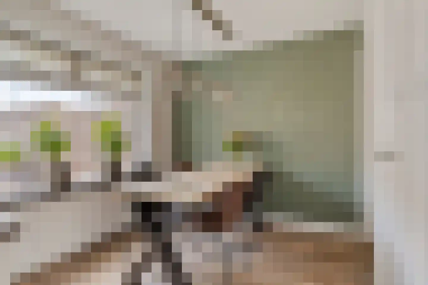 Geleijn Cornelissestraat 8 Middelharnis thumbnail 16